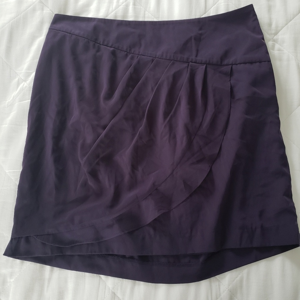 Banana Republic Navy Skirt